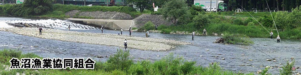 魚沼漁業協同組合