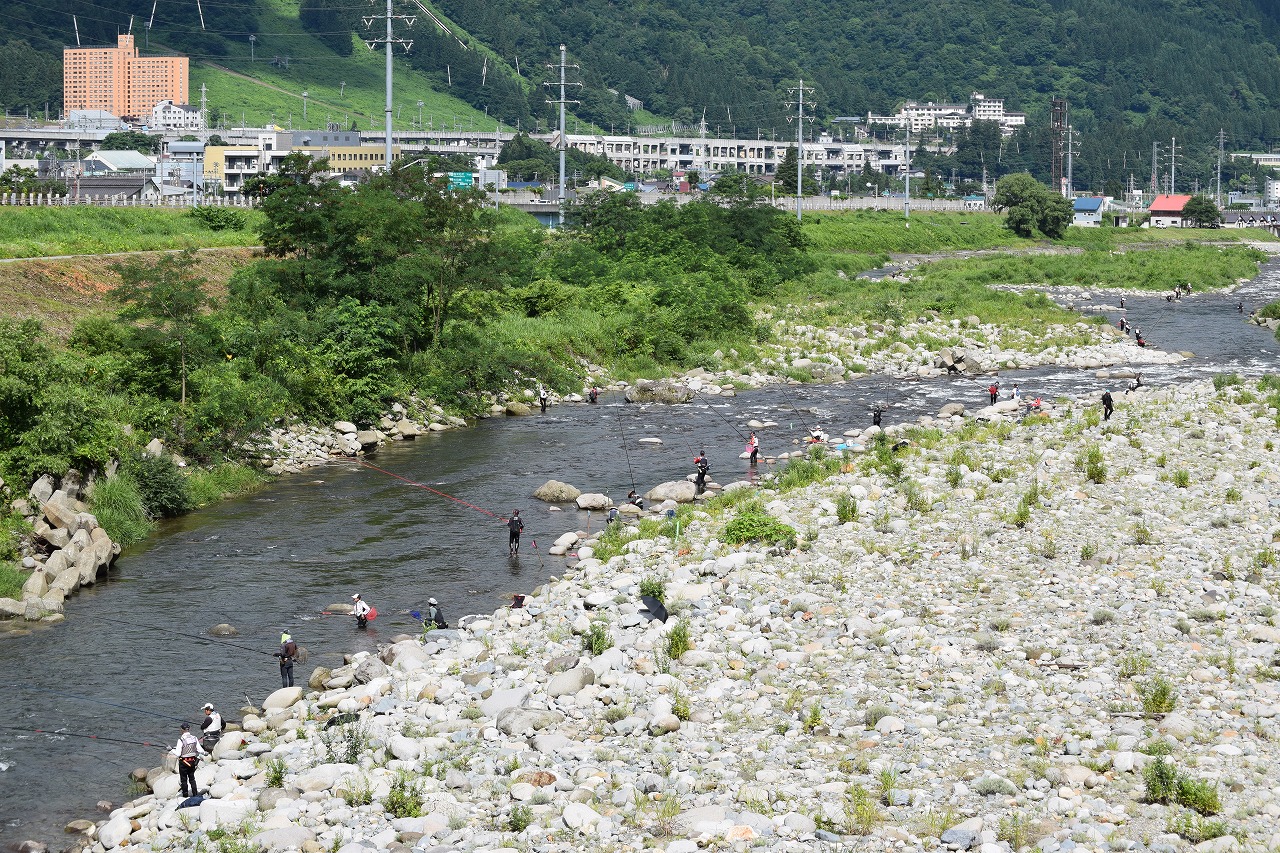 釣り 魚 野川