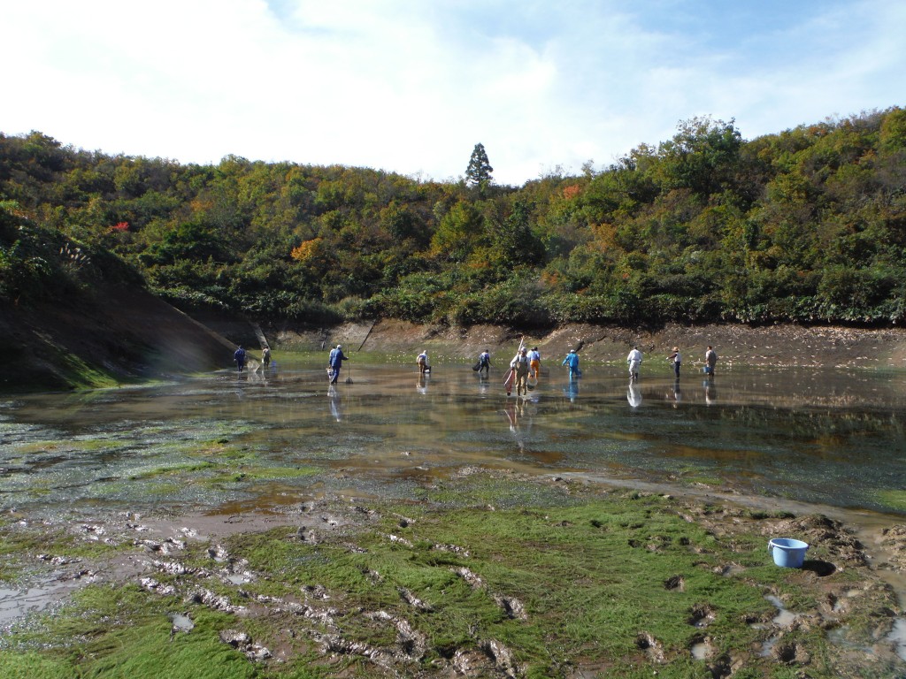 161021魚沼ため池駆除状況