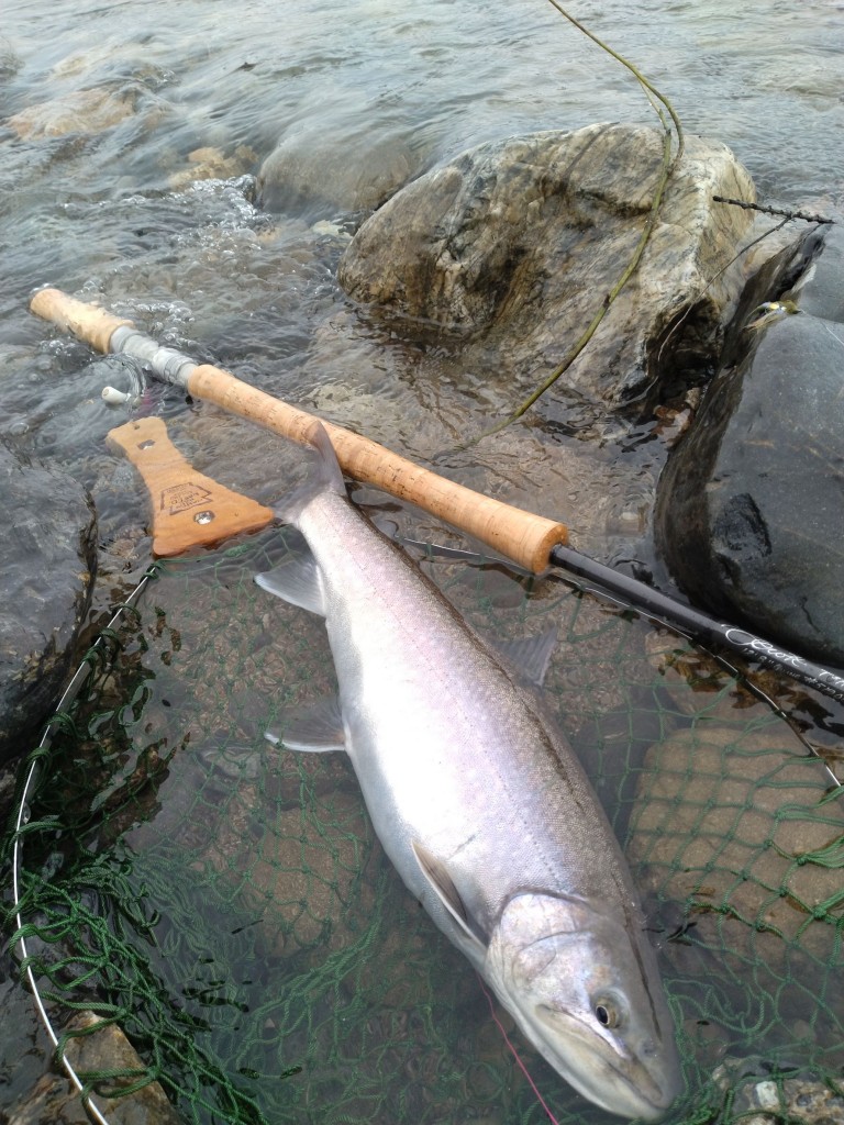 R5岩魚