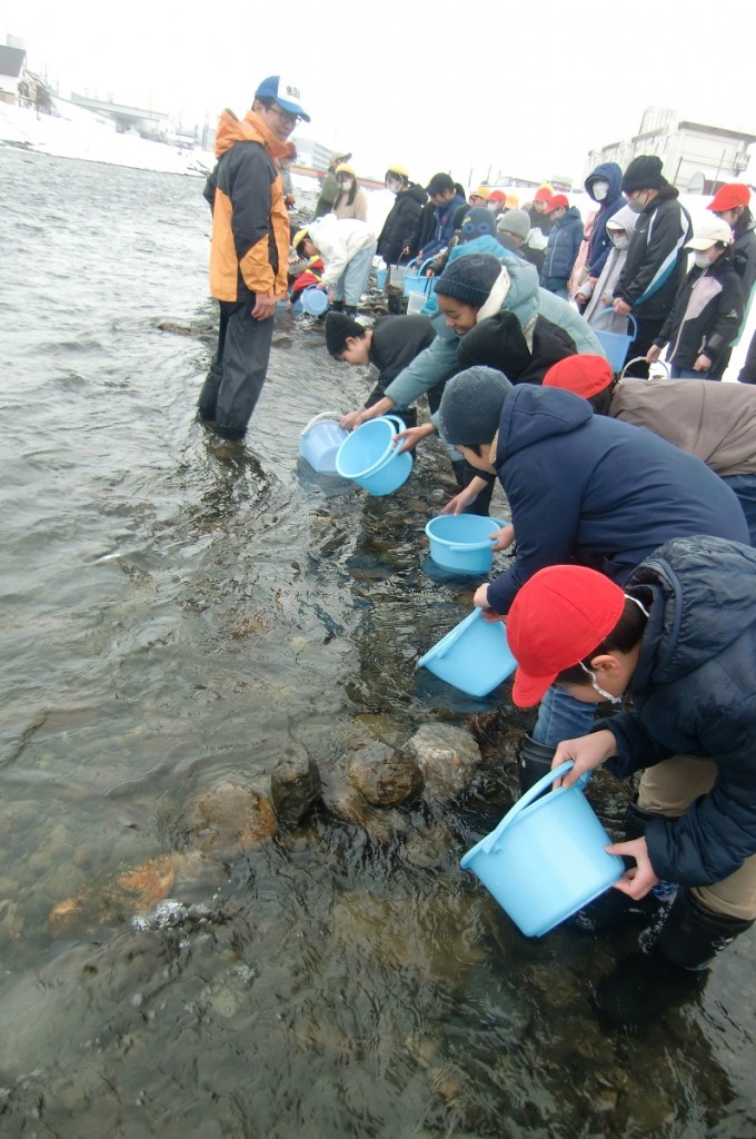 ４年生による鮭の稚魚放流 小