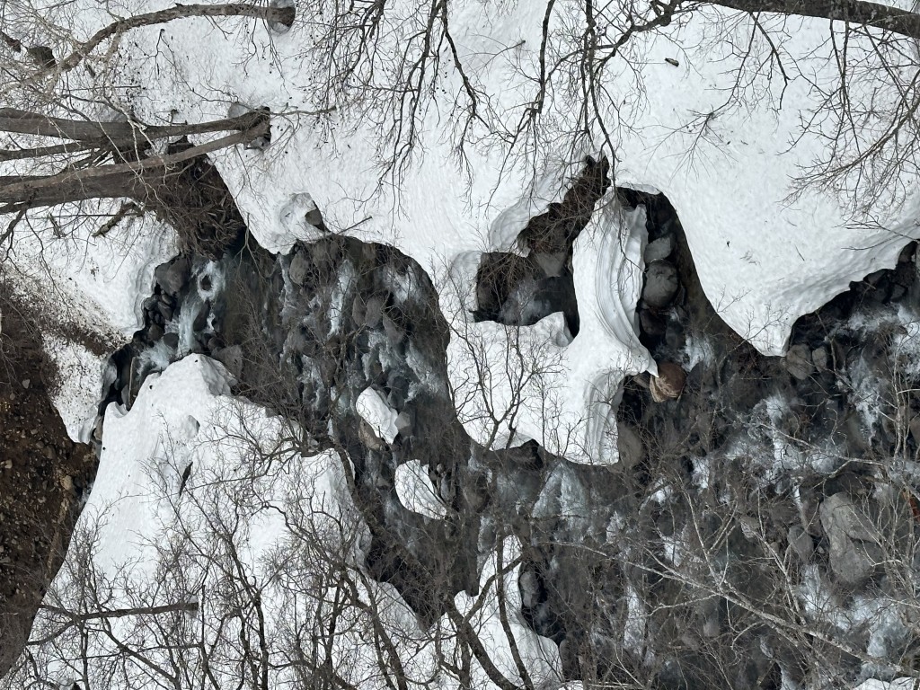 上流の枝沢はまだ冬