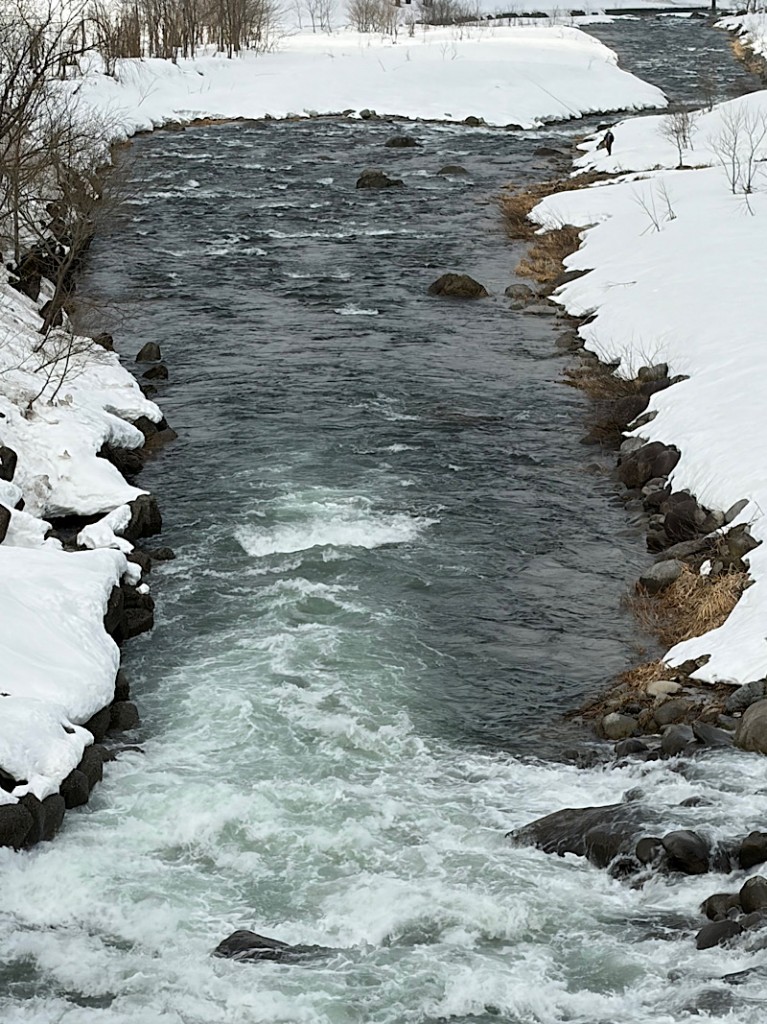 IMG_2026-03-01-112222779